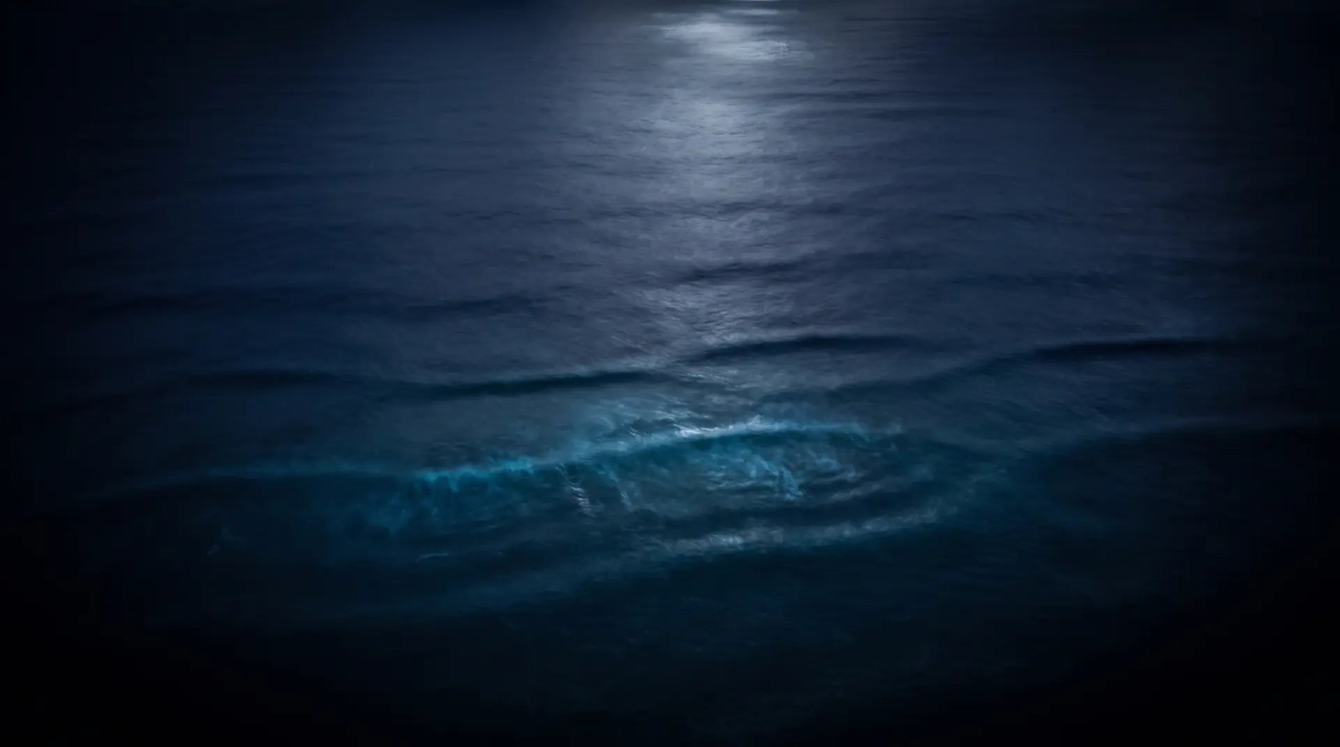 Prehistoryczny ocean noca